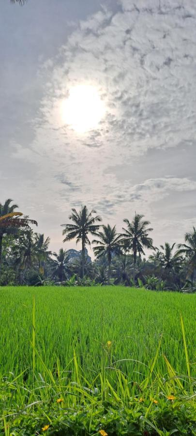 Galang Hari Villa Ubud Exteriör bild