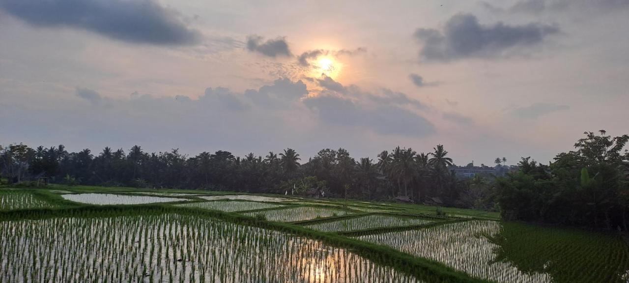 Galang Hari Villa Ubud Exteriör bild