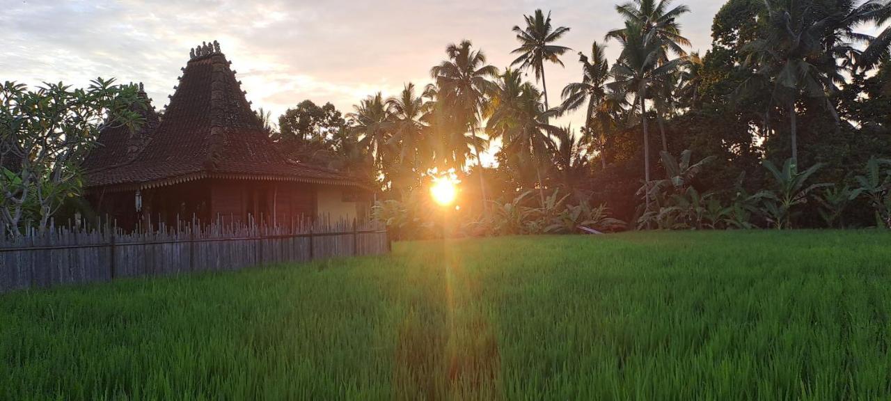 Galang Hari Villa Ubud Exteriör bild