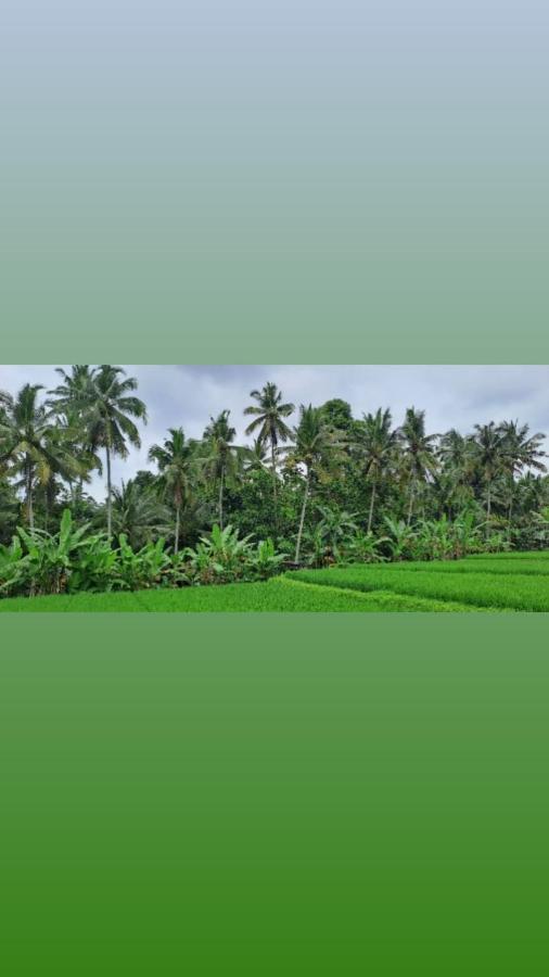 Galang Hari Villa Ubud Exteriör bild