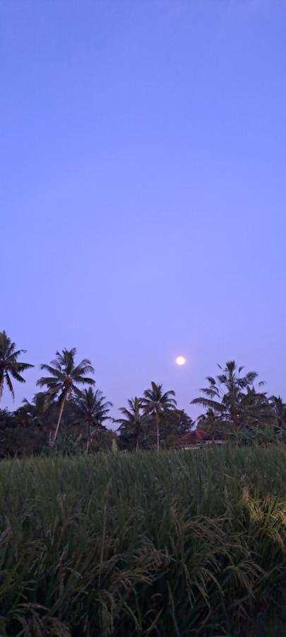 Galang Hari Villa Ubud Exteriör bild