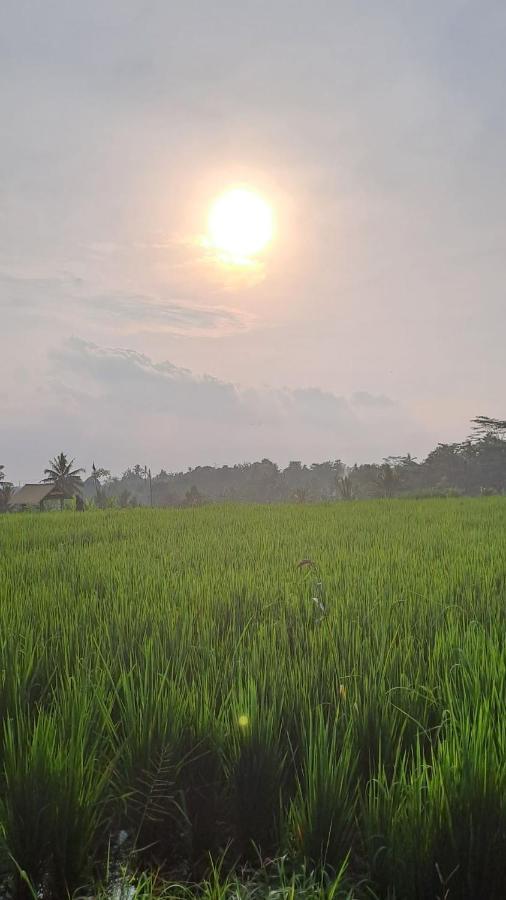 Galang Hari Villa Ubud Exteriör bild