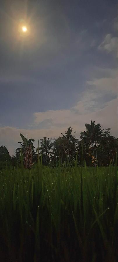 Galang Hari Villa Ubud Exteriör bild