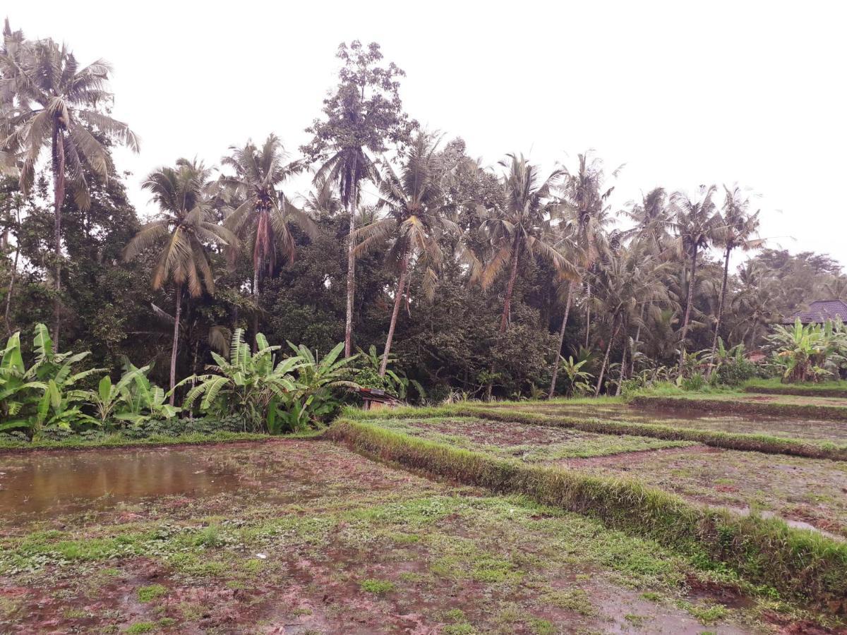 Galang Hari Villa Ubud Exteriör bild